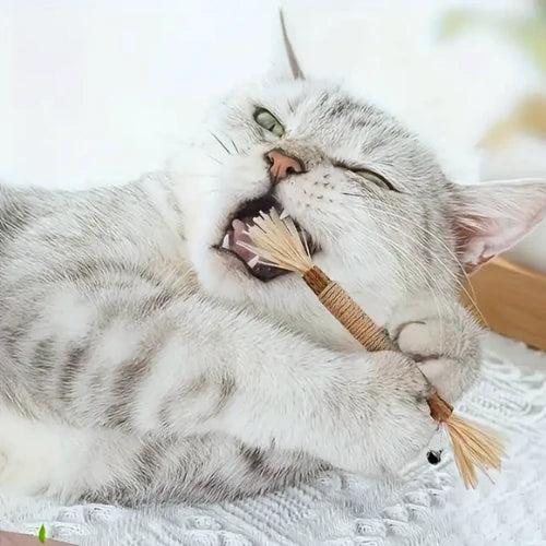 Velora Natural Silvervine Dental Sticks