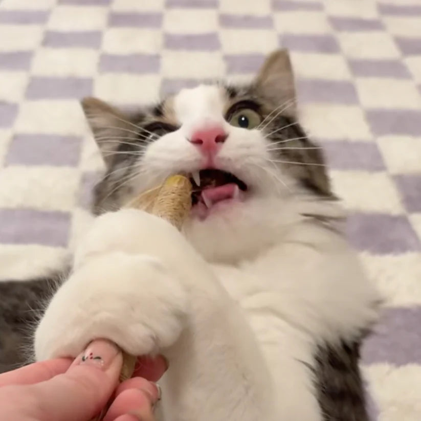 Velora Natural Silvervine Dental Sticks