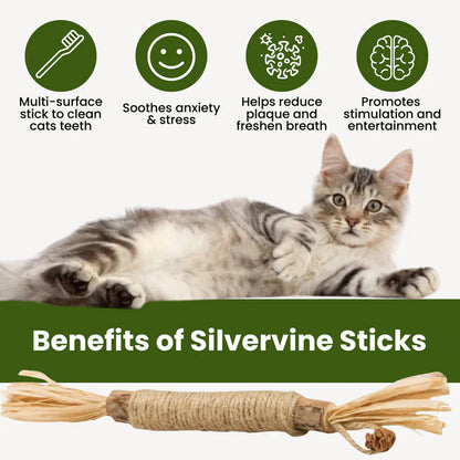 Velora Natural Silvervine Dental Sticks