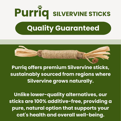 Velora Natural Silvervine Dental Sticks