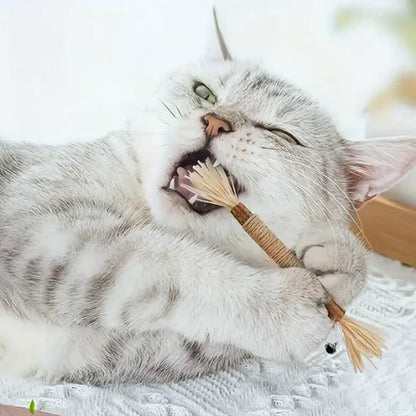 Velora Natural Silvervine Dental Sticks