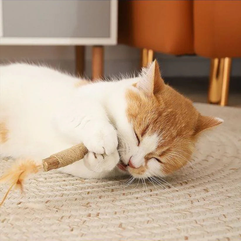 Velora Natural Silvervine Dental Sticks